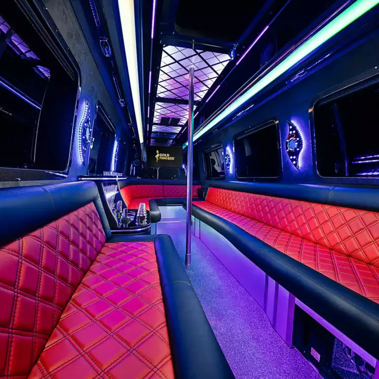 Luxury interior of Prague VIP shuttle.